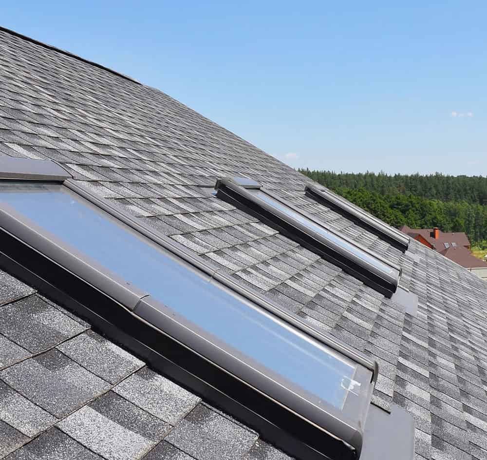 Skylight Installation and Maintenance image